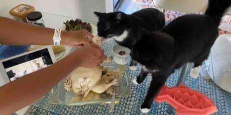 ハワイネコ ブログ ハワイ ホールフーズ買い物記録