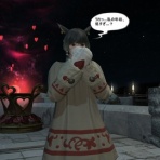 新生　白猫の部屋