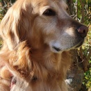 本日、臨時休業