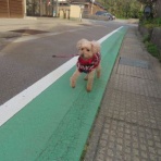 churahamaのブログ