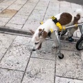 落ち着かない