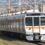 『315系3000番台』の画像