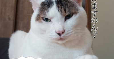 花粉、本気出してんじゃん。と、１ルピーつくりました。