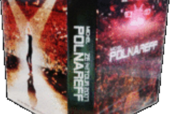 Polnarcord Fan Livedoor ミッシェル ポルナレフ