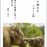 『4月1日新刊のお知らせ』の画像