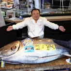 【悲報】一番マグロ5億円　二番マグロ275万円