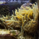 Beach Field　いいかげん日記帳Ⅲ