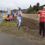 定年後・田舎作って・コメ野菜