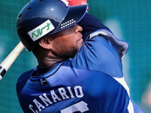 カナリオ順調にブリブリ振り回しています。