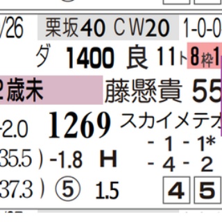 リアルデータ競馬新聞