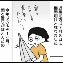 梅雨らしき梅雨