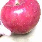 弘前りんご日記