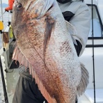 新潟県　寝屋漁港　功晴丸　第八功晴丸　潜りの眼