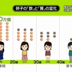 IT速報