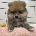かわい子ちゃん💗