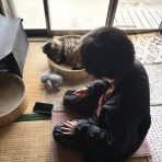 おそらくその平凡こそ幸せ　猫と私と家族の日常