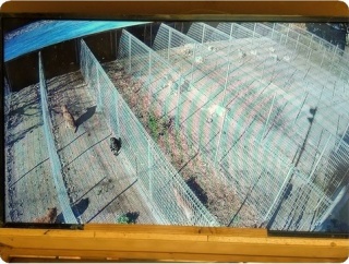 栃木拠点・11月15日