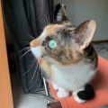 ハ〜ナクソ王子〜♪