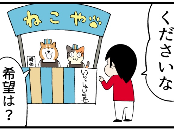 犬猫の適当な店でオーダーするとたぶんこうなる