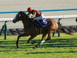 迷走の２冠牝馬チェルヴィニア 次走はマイルチャンピオンSww
