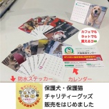 『2026年カレンダーとステッカー販売中!』の画像