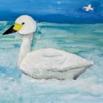 SHOW SHOW KIDS　BLOG