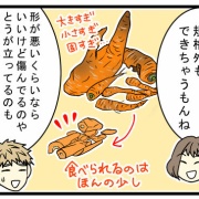 野菜作りが好きな義父、たくさん作っても当の本人は野菜嫌いで…⁉