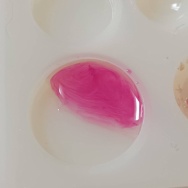 はじまる…と、ピンクのキューブ水中花つくりました。
