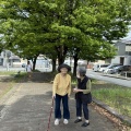 お散歩へ