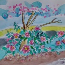 町田・薬師池公園のサザンカをスケッチ