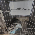 だいずくんが亡くなりました