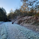 シャルバーグ八千代の＜フランスの田舎から＞