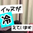 寒いイチニチ。