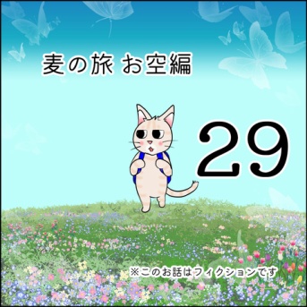 麦の旅お空編29