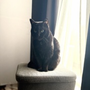 毎日が発見ネット掲載のお知らせ