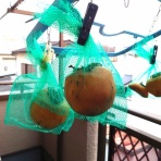 何でも、ひらめき。