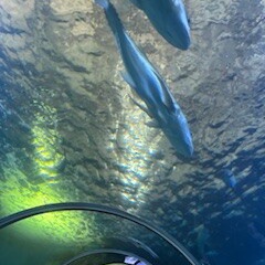 新年会最終章⑷。