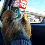 あっ！ごはんは大盛りで！！