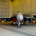U.S.NAVY VFA-27 F/A-18E ～岩国FD2026～