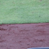 『吉例　當午年年男球人　2002年生まれ』の画像