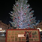 キャンディのカジュアル着物らいふ