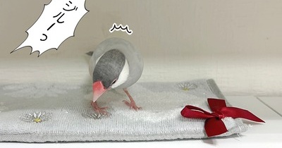 かわいいリボン