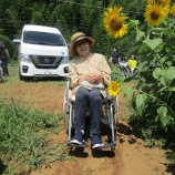 『向日葵に囲まれて。』の画像