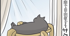 窓際と床を行き来する猫