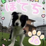 ニコっとルンルン日記