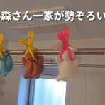 にゃんこ三昧な生活