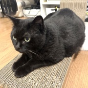 まだまだ若々しいスミちゃん