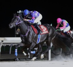 【11/3レースレポート】⑤ゴッドバロック（牡2＝角川秀樹厩舎）が前走のリベンジ！ 北海道2歳スプリント