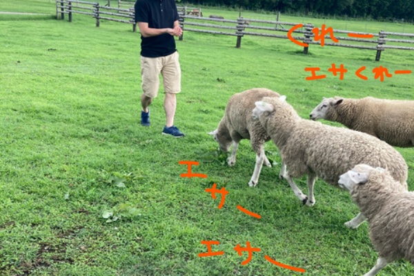 赤ちゃんの気持ちになってみよう 2020年08月