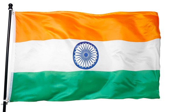 インドで野生のゾウが住民を襲撃し22人死亡